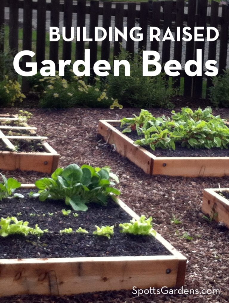 Building Raised Garden Beds - Spotts Garden Service