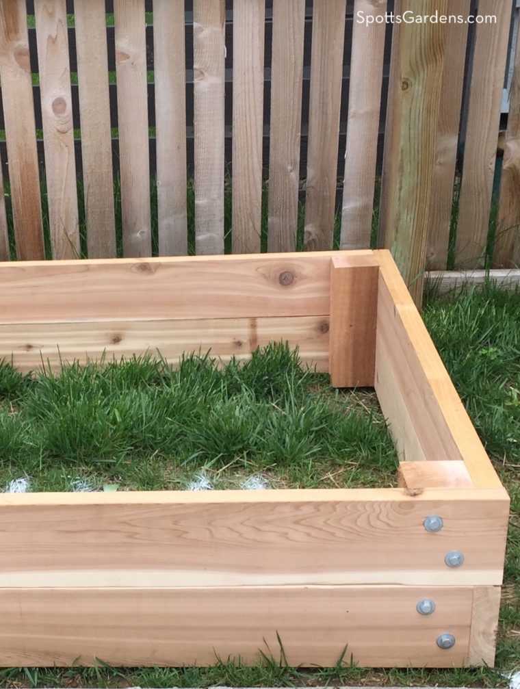 Empty raised garden bed