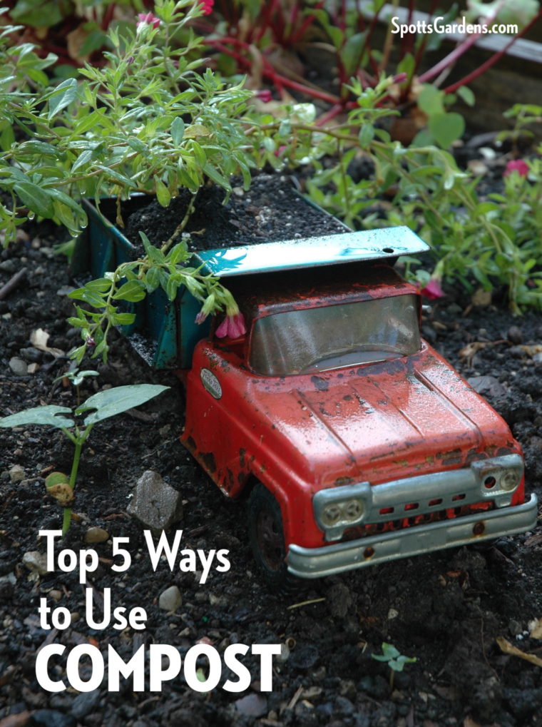 Top 5 Ways to Use Compost