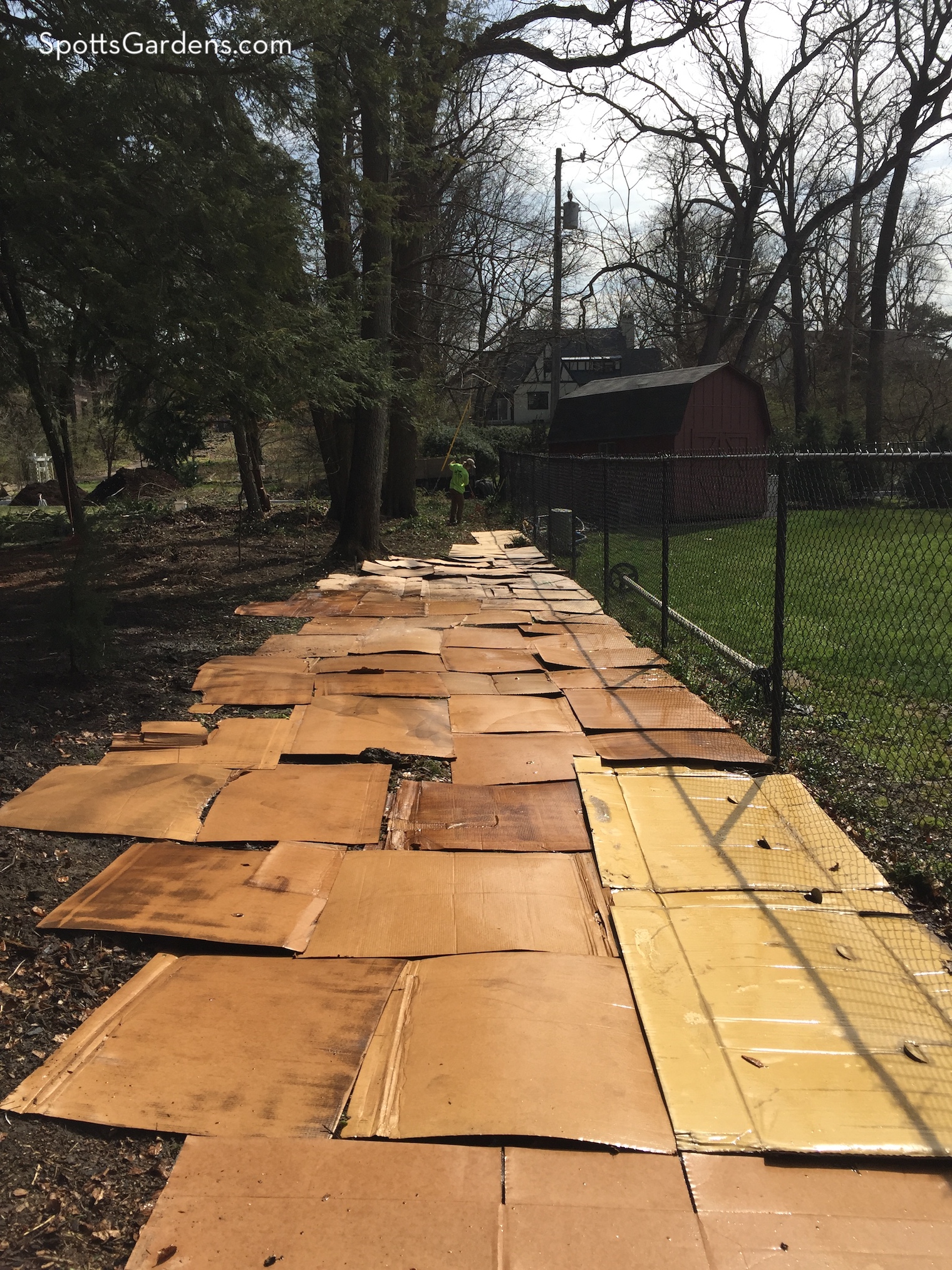 Wet cardboard laid over garden bed for sheet mulch