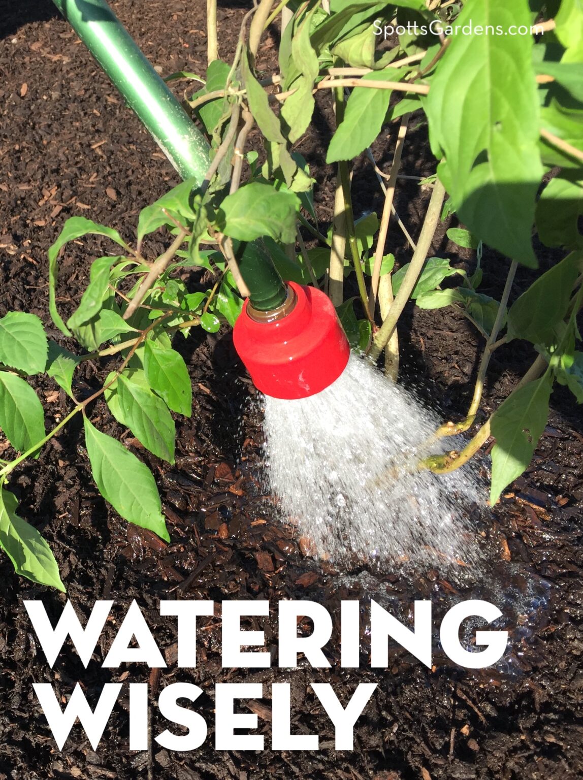 Watering Wisely In The Garden Spotts Garden Service