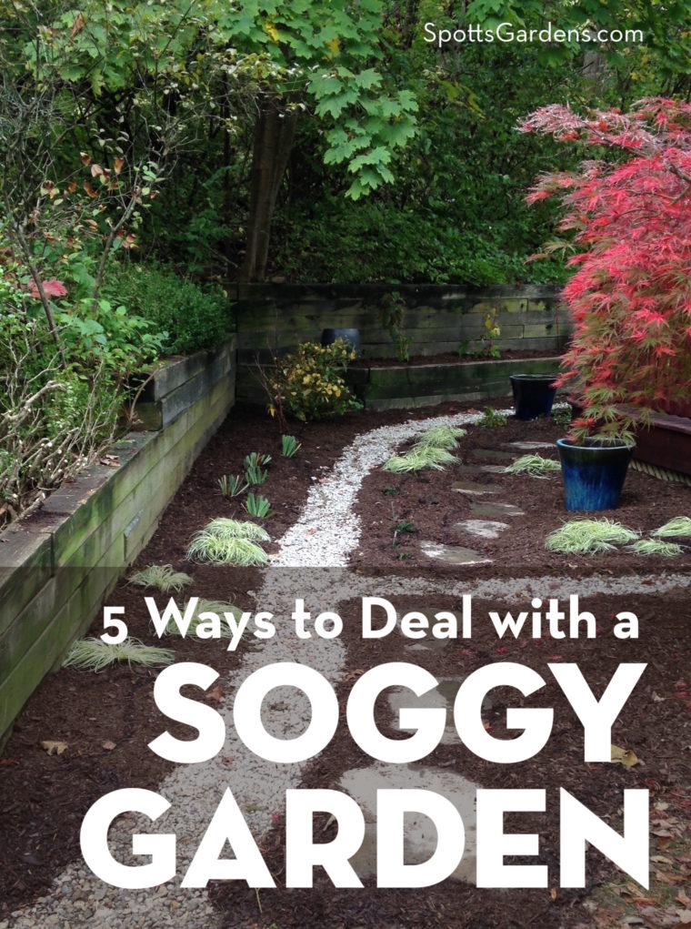 5 Ways To Deal With A Soggy Garden, Can I Move A Drain In My Garden