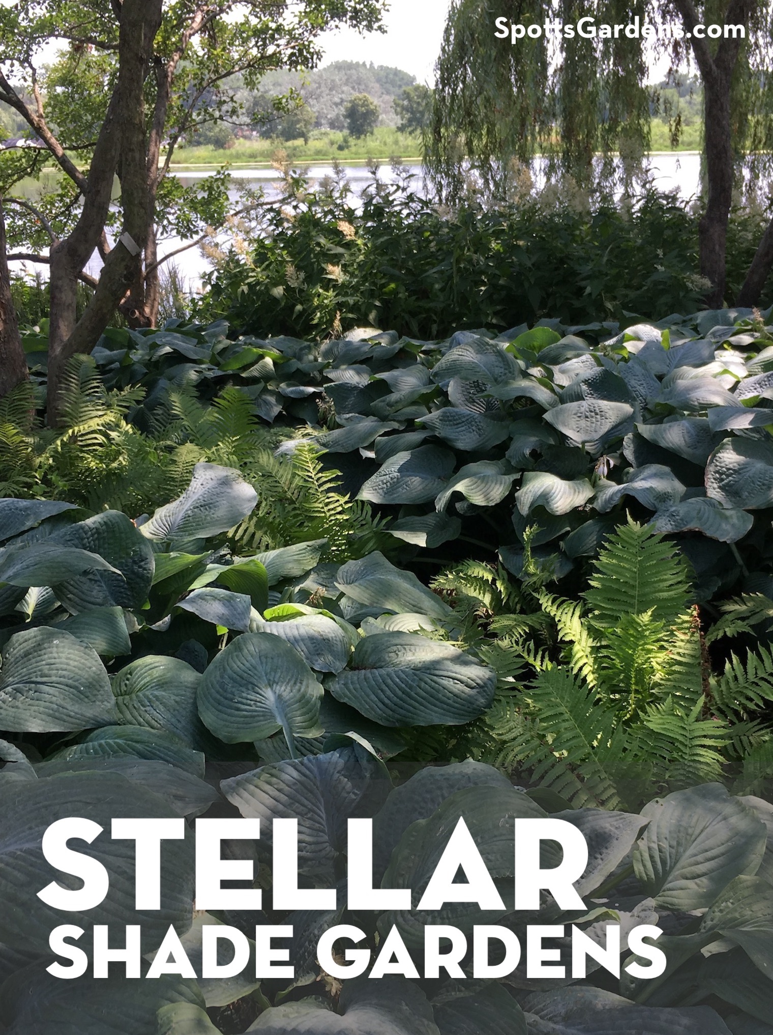 Stellar shade gardens