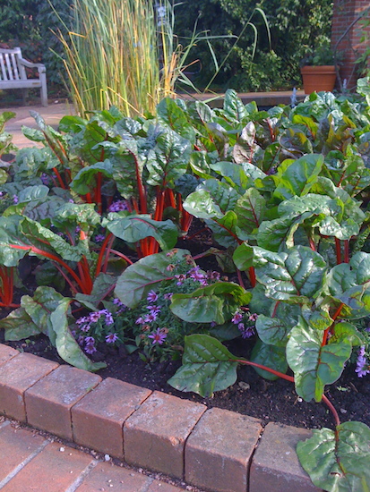 Raised beds made of tumbled pavers