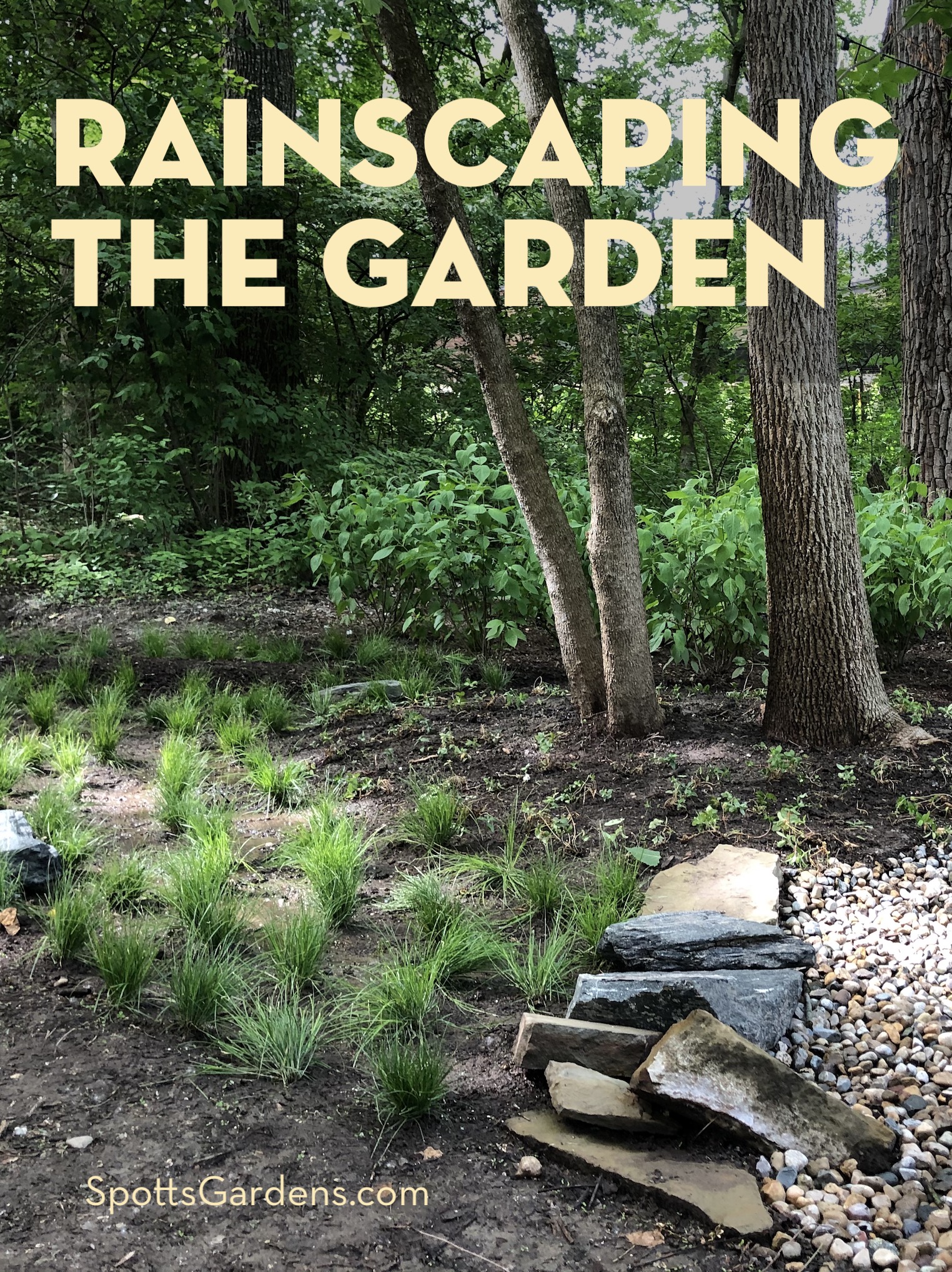 Embrace the Rain: How and Why Planting a Rain Garden is a Good Idea