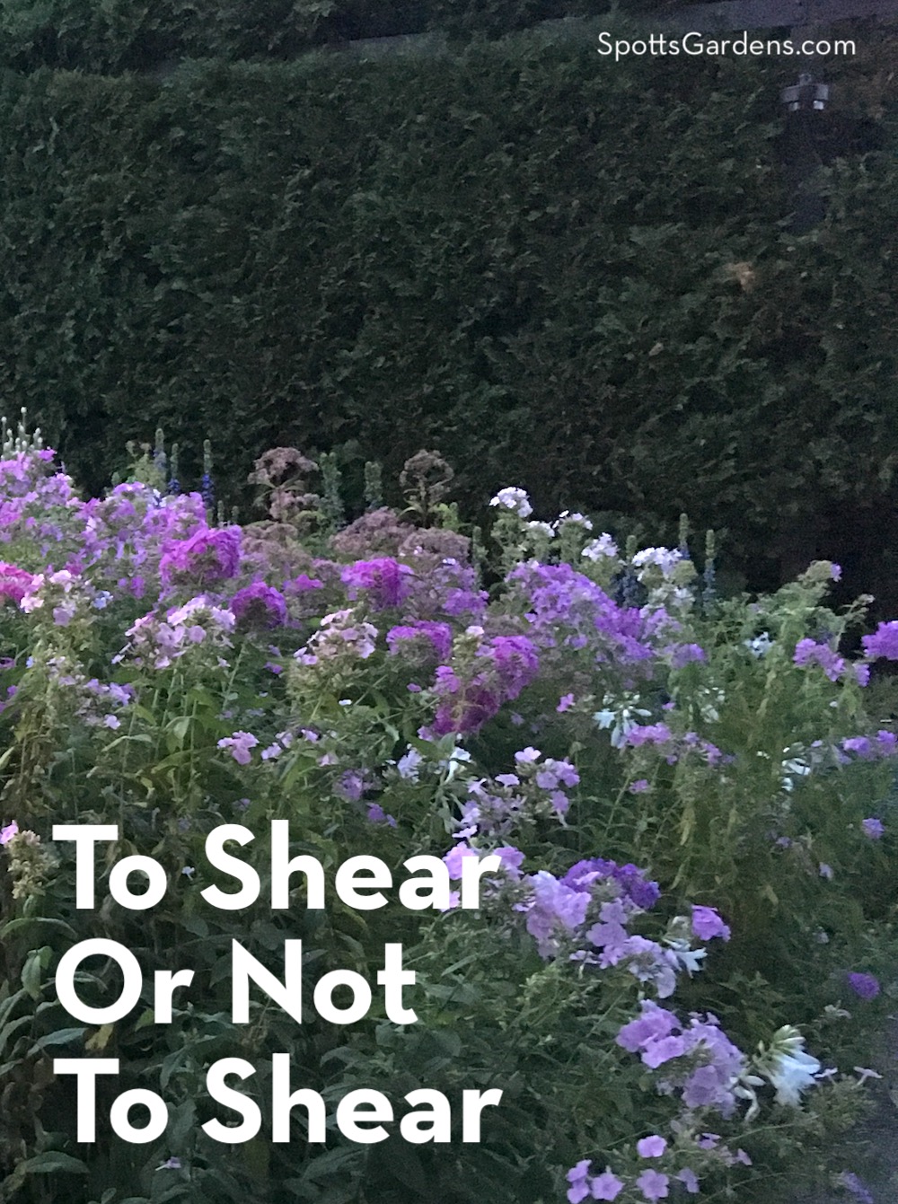 To Shear or Not to Shear