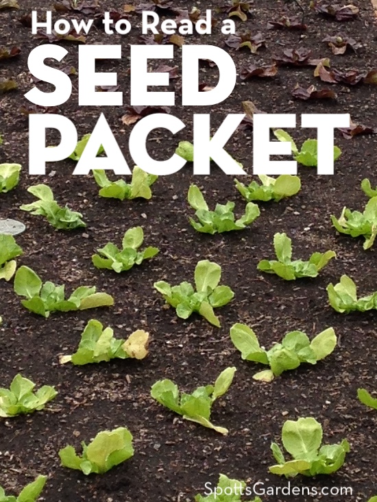 How to Read a Seed Packet