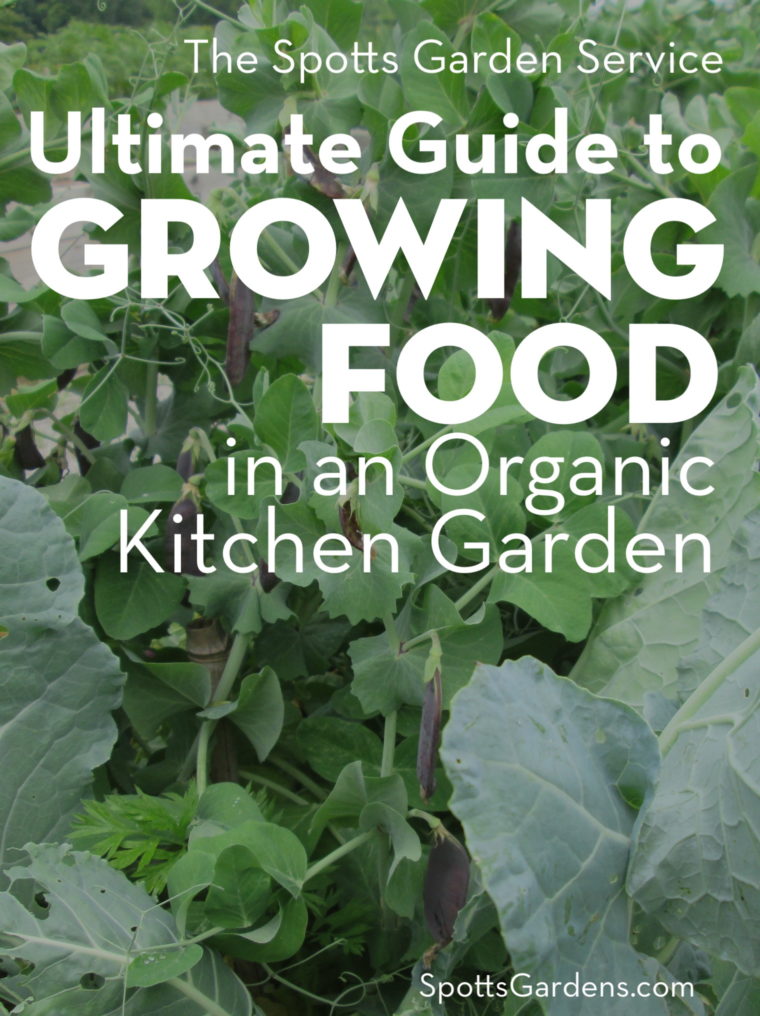 Spotts Garden Service Ultimate Guide to Growing Food in an Organic Kitchen Garden