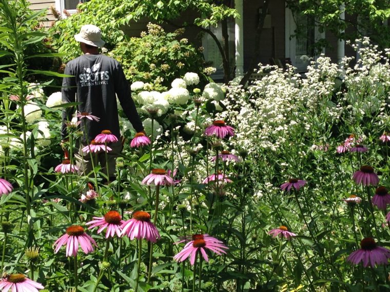 Gardener in flowers