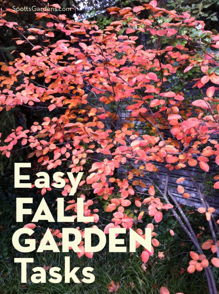 Easy fall garden tasks