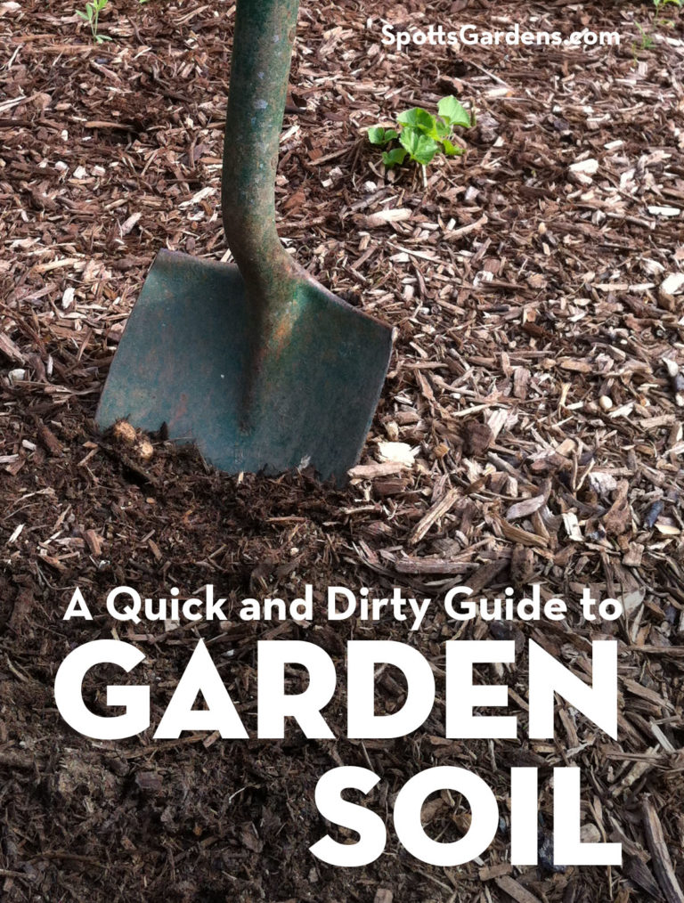 A Quick and Dirty Guide to Garden Soil Spotts Garden Service