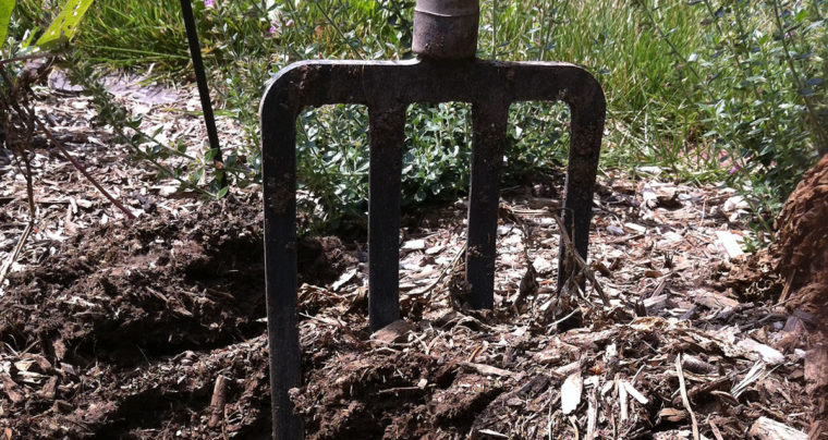Garden fork stuck in soil