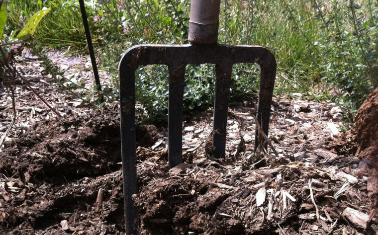 Garden fork stuck into soil