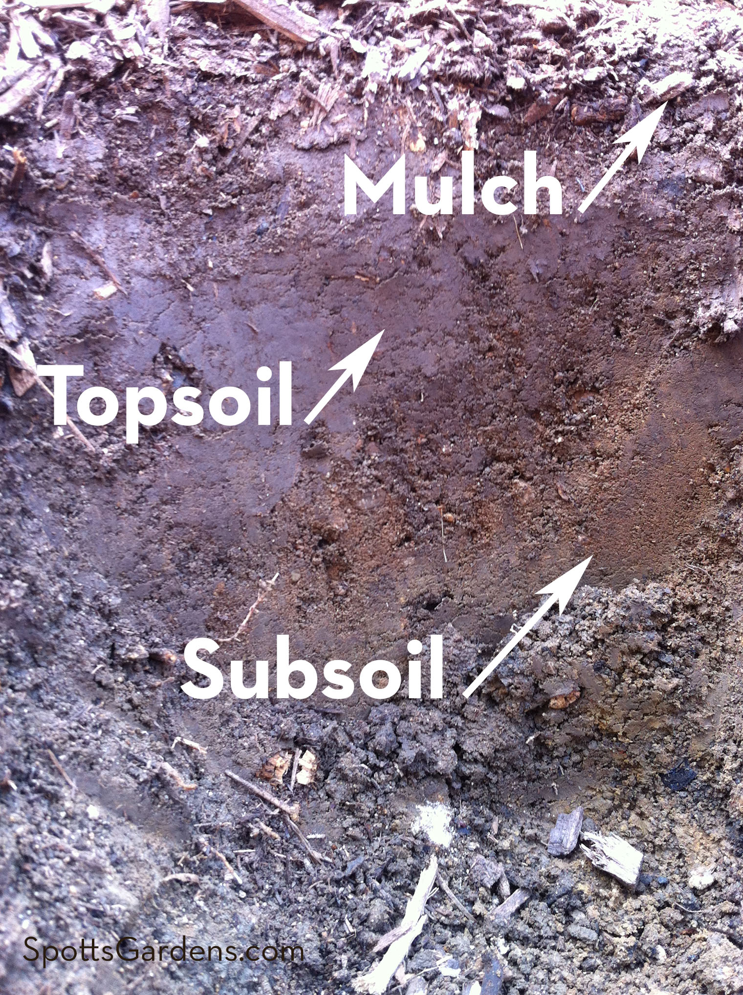 Photo of layers of soil: mulch, topsoil, subsoil