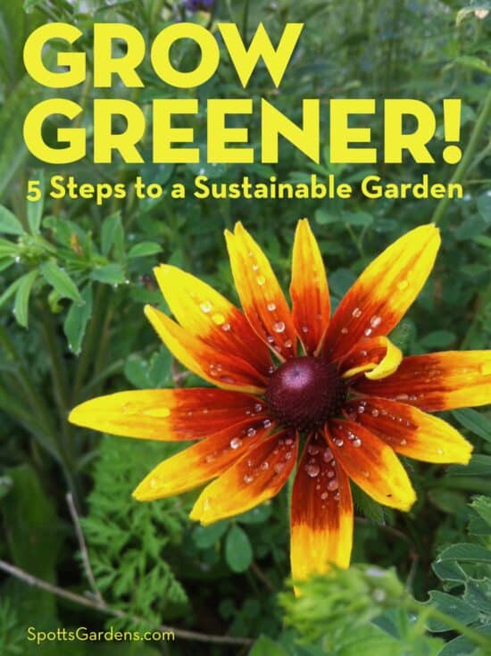 Grow Greener! 5 Steps to a Sustainable Garden