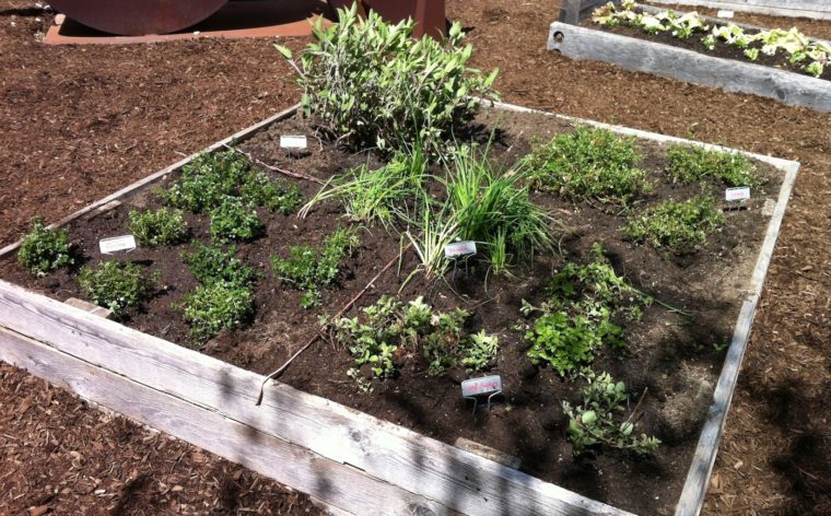 Filling Raised Garden Beds with Soil Header
