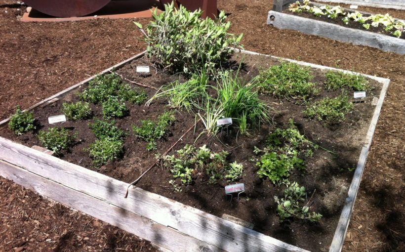 Filling Raised Garden Beds with Soil