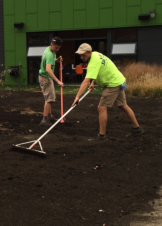 Raking out compost in the Spotts Garden Service garden