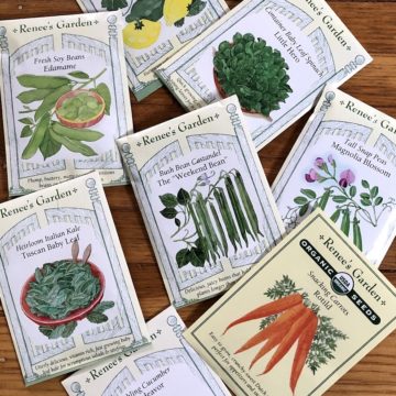 Seed packets