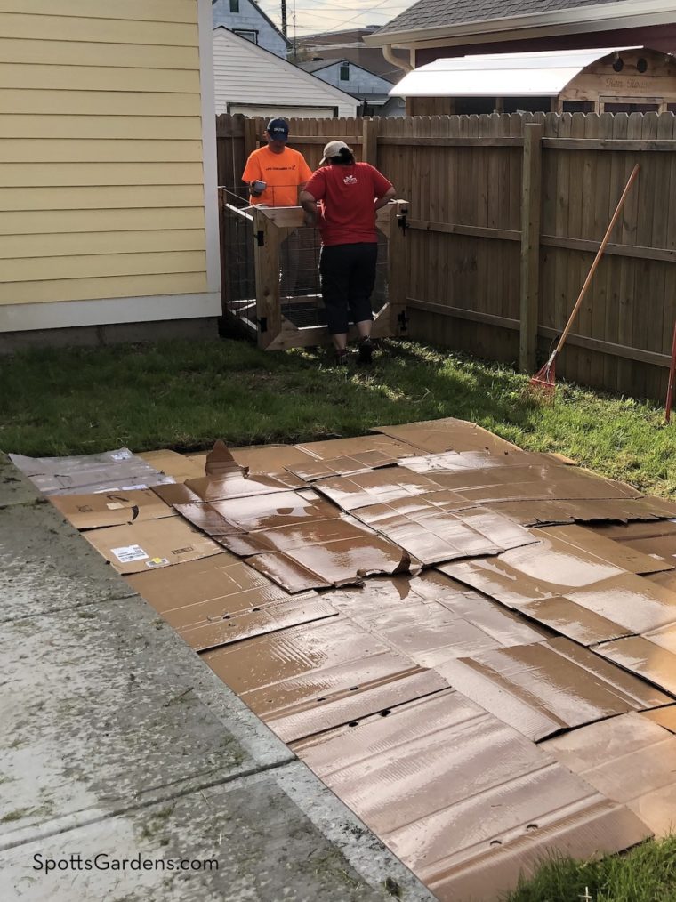 Setting up raised beds on cardboard to smother grass