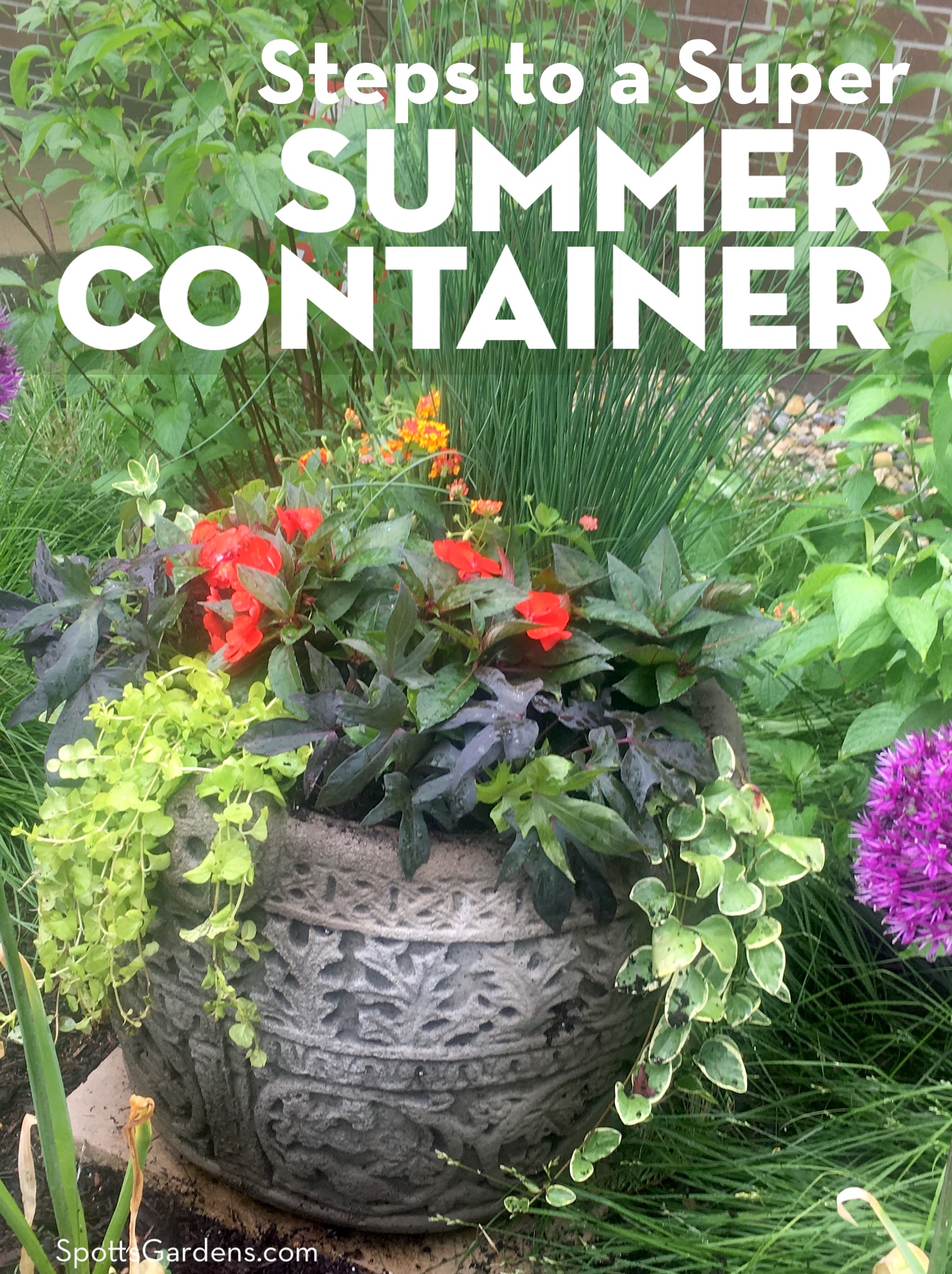 Steps to a Super Summer Container - Spotts Garden Service