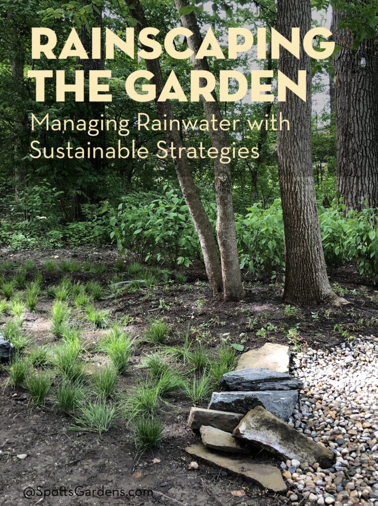 Rainscaping the Garden: managing Rainwater with Sustainable Strategies