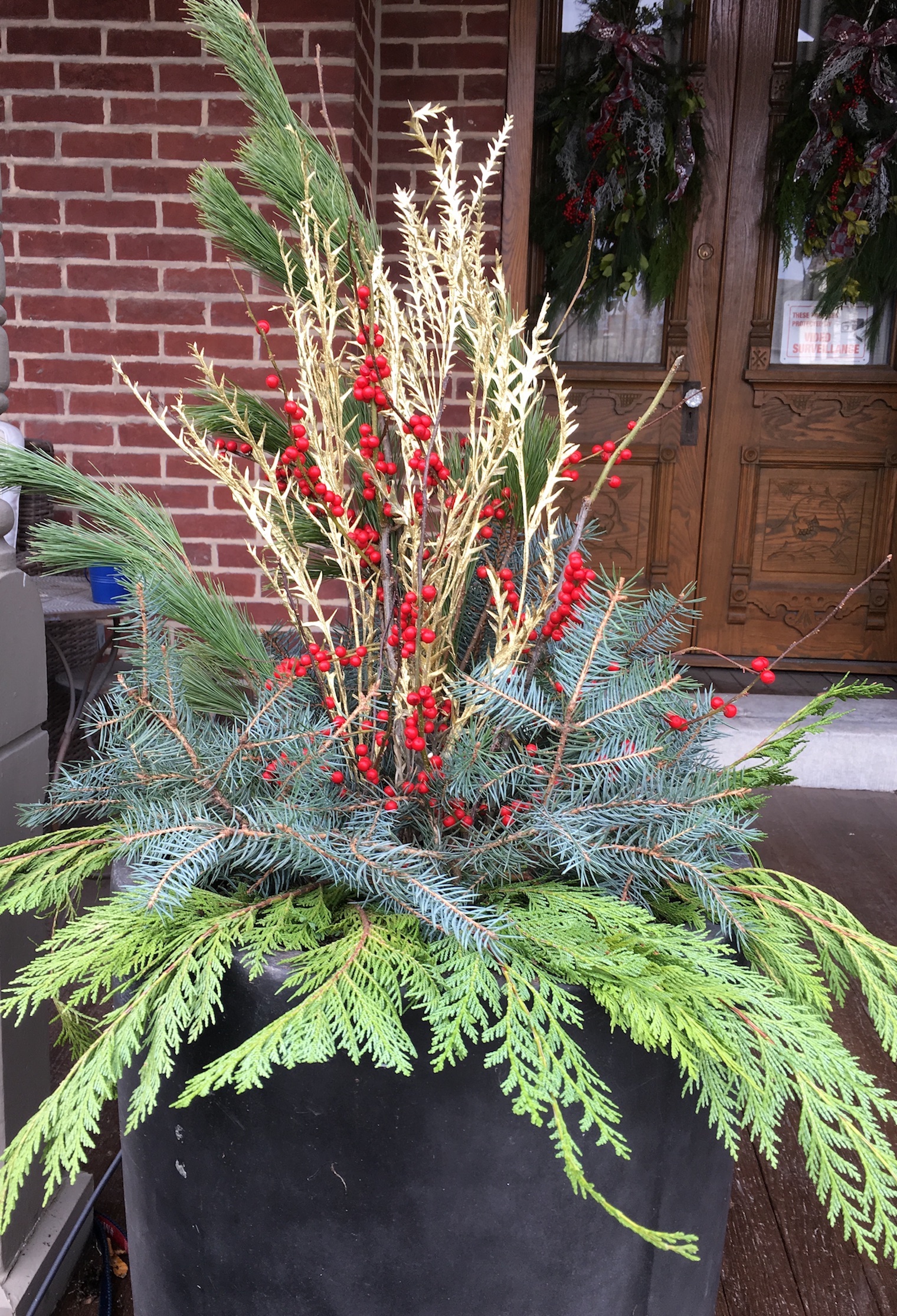 Winter garden arrangement