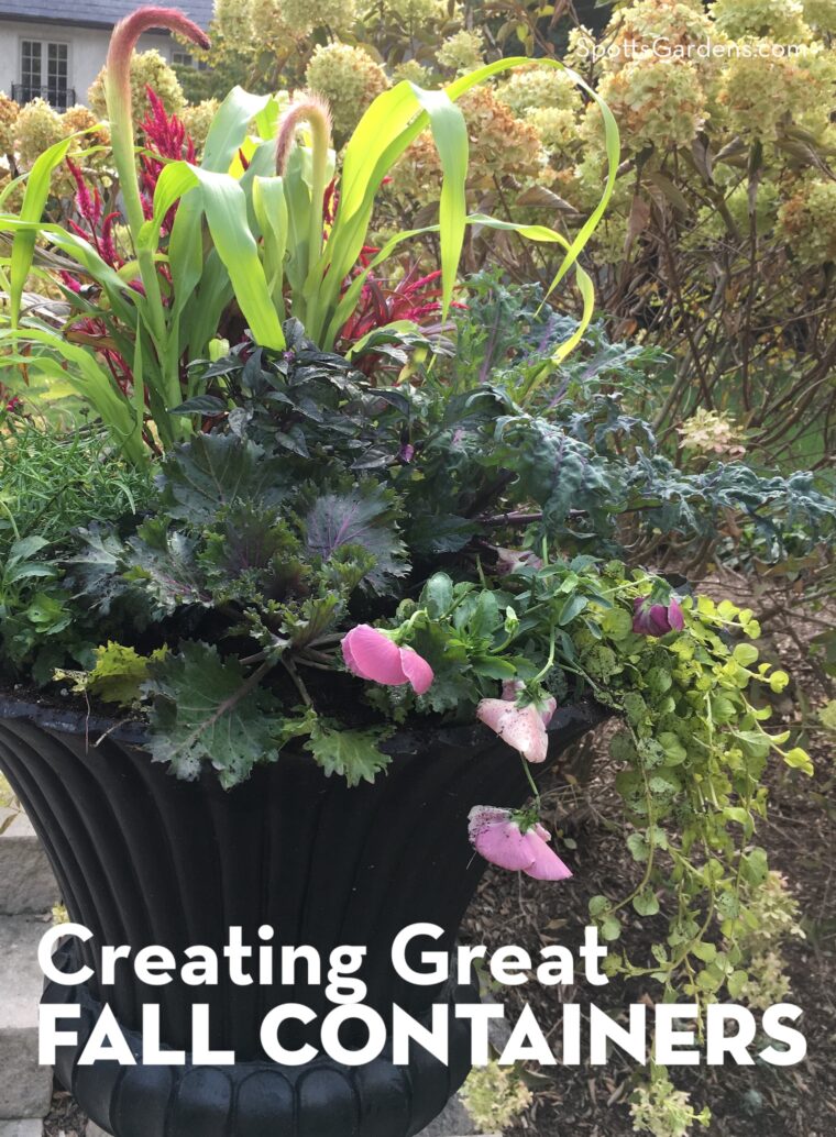 Creating Great Fall Containers
