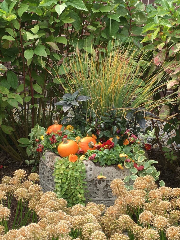 Creating Great Fall Containers