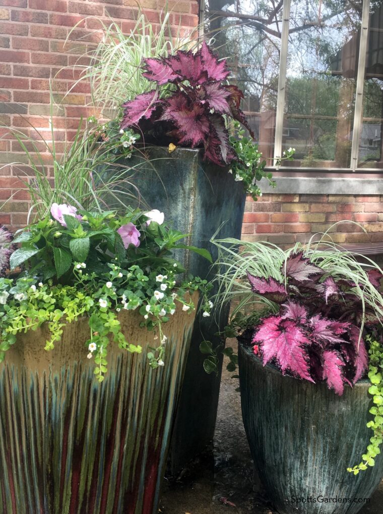 Three planted garden containers