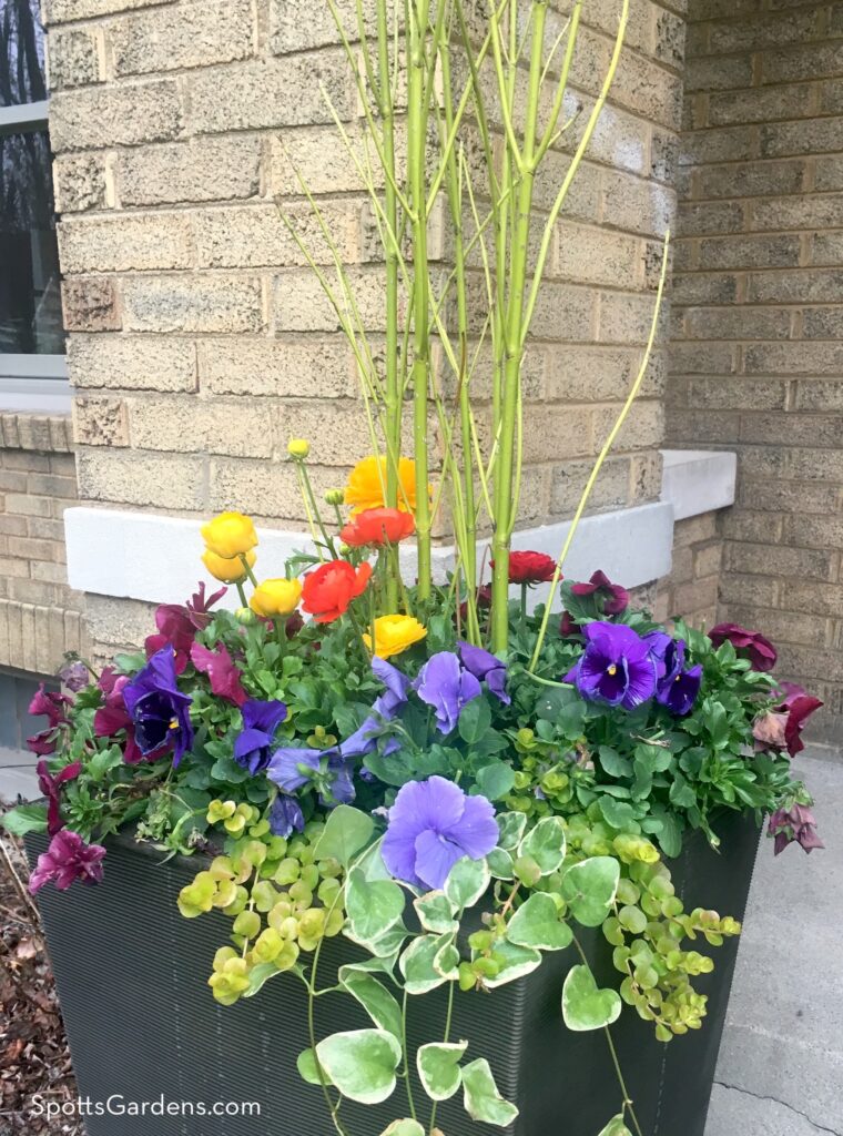 Spring mixed container