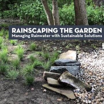 Rainscaping the Garden: Managing Rainwater with Sustainable Solutions