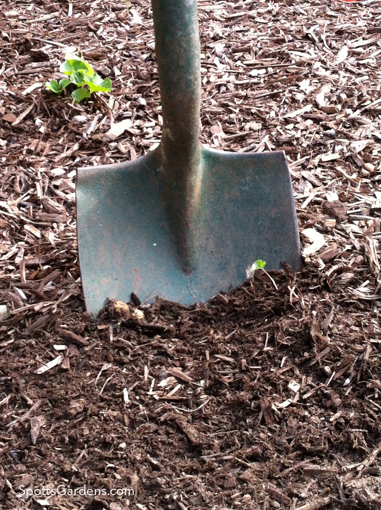 Shovel stuck into the soil