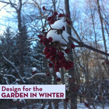 Design for the Garden in Winter