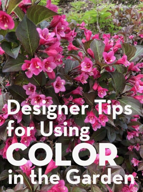 Designer Tips for Using Color in the Garden 