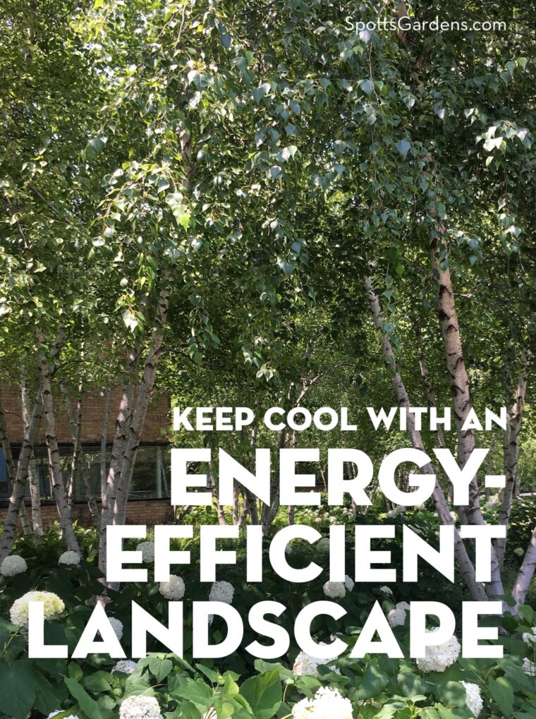 Keep Cool with an Energy-Efficient Landscape