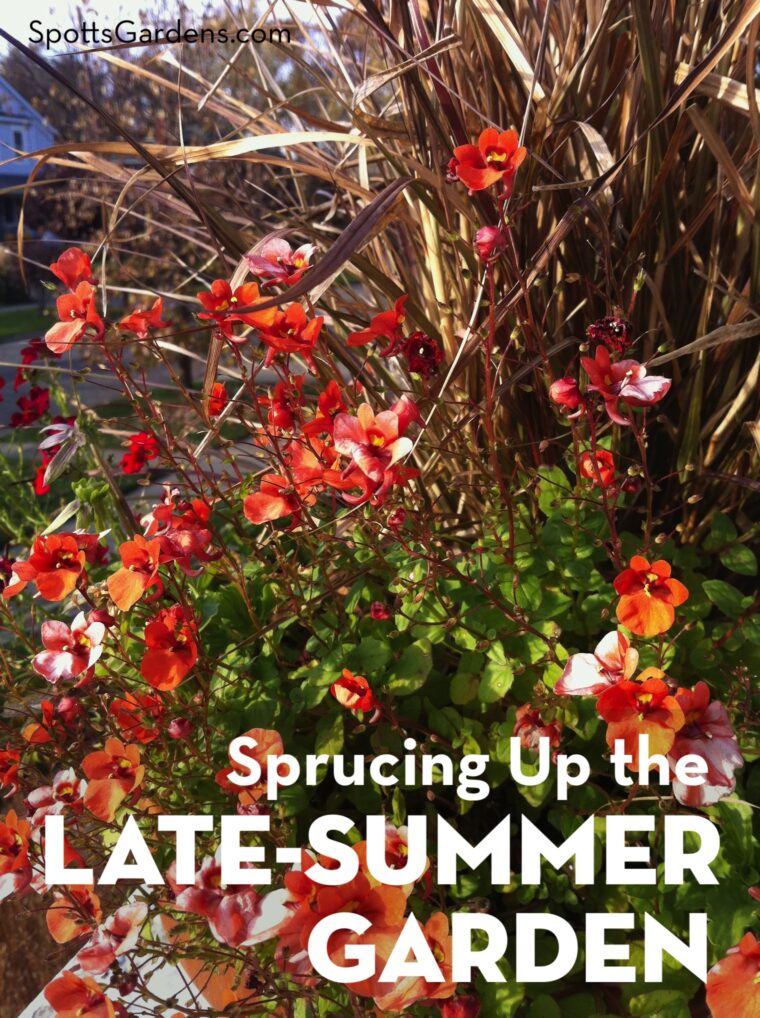 Sprucing up the late-summer garden