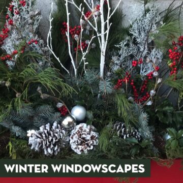 Winter Windowscapes