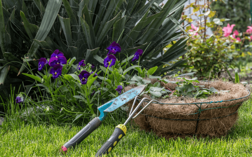 Top 5 Reasons To Do a Late Summer Cleanup