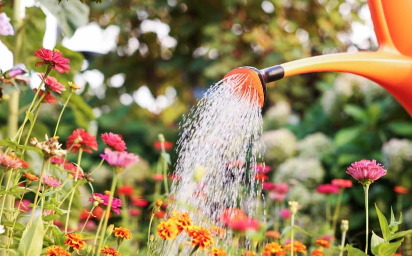 Your Garden Can’t Survive on Rain Alone